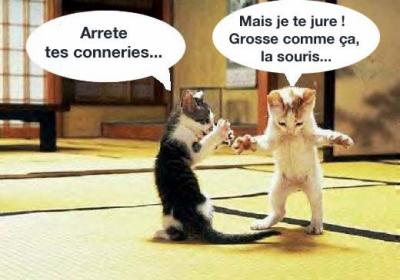 Chats