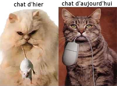 Chats
